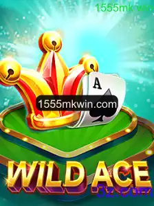 Descubra o Mundo Fascinante de WildAce: Um Guia Completo